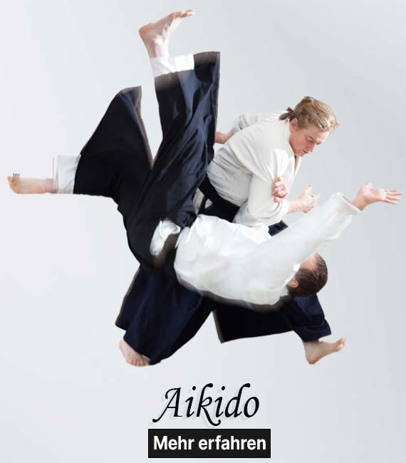 aikido570-650