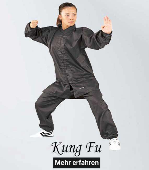 Kung-Fu_570x660